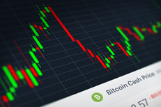 Bitcoin Cash (BCH) stock price candlestick chart monitor screenshot showing volatility and price increases and declines