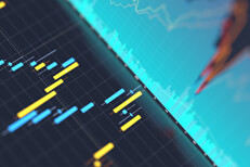 Screen showing stock price area chart and price candlestick chart